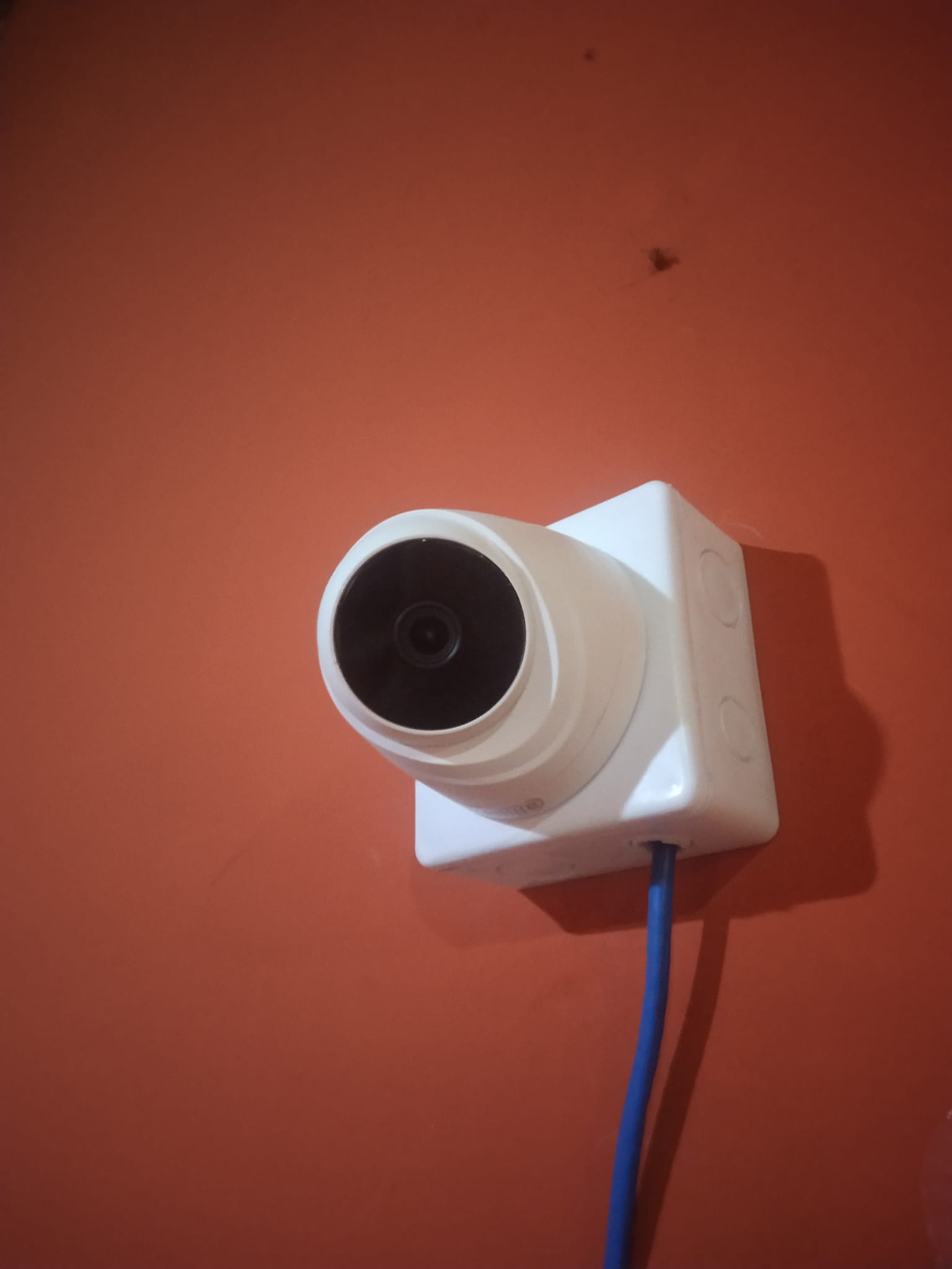 Project 1 image 2